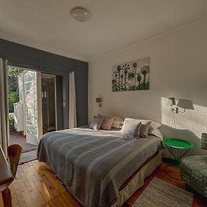 Distrito Condesa Rooms&Studios